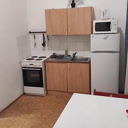 Near Main Railway And Bus Station, Vankovka Apartment *